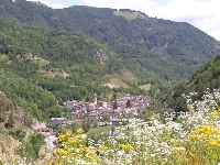 Roaschia